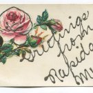 Greetings from Rapidan Minnesota Postcard