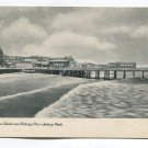 Beach and Fishing Pier Asbury Park New Jersey Postcard