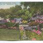 Old Fashioned Flower Garden Williams Inn Williamstown Massachusetts Postcard