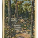 Footpath West Rock Park New Haven Connecticut Postcard