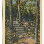 Footpath West Rock Park New Haven Connecticut Postcard