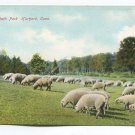 Elizabeth Park Hartford Connecticut Postcard