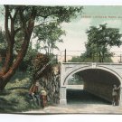Scene Lincoln Park Chicago Illinois Postcard