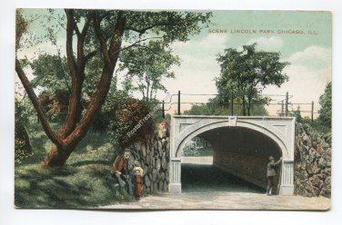Scene Lincoln Park Chicago Illinois Postcard