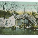 Sea Lions Lincoln Park Zoo Chicago Illinois Postcard