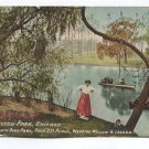 Weeping Willow and Lagoon Washington Park Chicago Illinois Postcard