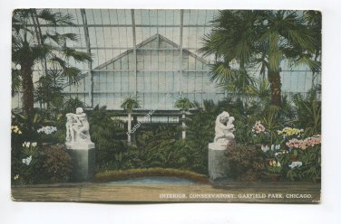 Interior Conservatory Garfield Park Chicago Illinois Postcard