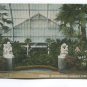 Interior Conservatory Garfield Park Chicago Illinois Postcard