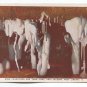 Wind Formations and Town Pump Ohio Caverns West Liberty Ohio Postcard