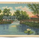 Mill Pond and Fish Hatchery Blue Hole Castalia Ohio Postcard