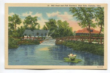 Mill Pond and Fish Hatchery Blue Hole Castalia Ohio Postcard