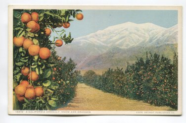 A California Anomaly Snow and Oranges Postcard