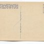 A California Orange Orchard Fenced by Roses Postcard