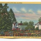Lutheran Burbanks Gardens Santa Rosa California Postcard Lutheran Burbanks Gardens Santa Rosa California Postcard
