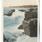 Beach Drive Santa Cruz California Postcard