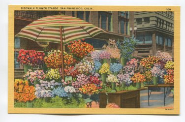Sidewalk Flower Stands San Francisco California Postcard