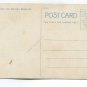 Three of a Kind Cawston Ostrich Farm South Pasadena California Postcard