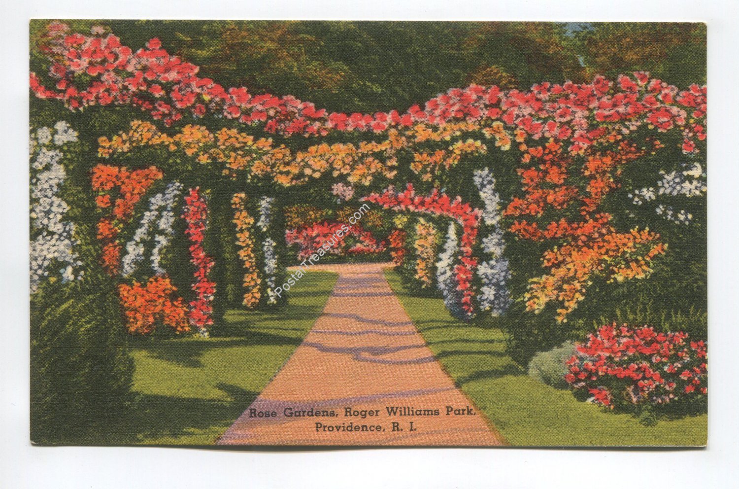 Rose Garden Roger Williams Park Providence Rhode Island Postcard