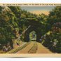 Looking thru a Double Tunnel in the Heart of the Blue Ridge Mountains Postcard