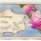 Greetings from Sioux Falls South Dakota Postcard