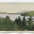 Sunapee Lake and Mt from Garnet Hill Sunapee New Hampshire Postcard