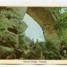 Natural Bridge Kentucky Postcard