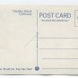 Worlds Record Broadbill Sewordfish caught at Catalina Island California Postcard