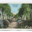 Among Palms and Flowers Los Angeles California Postcard