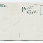 Among Palms and Flowers Los Angeles California Postcard