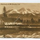 State Fish Hatchery and Mt Shasta California Postcard