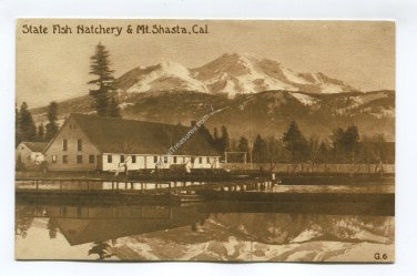 State Fish Hatchery and Mt Shasta California Postcard