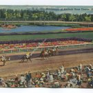 Mid-Season at Hialeah Race Course Hialeah Florida Postcard