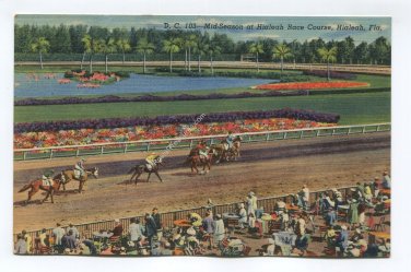 Mid-Season at Hialeah Race Course Hialeah Florida Postcard