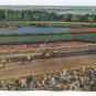Mid-Season at Hialeah Race Course Hialeah Florida Postcard