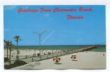 Greetings from Clearwater Beach Florida Postcard