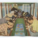 Seeing the Under-Water Wonders in Silver Springs through Electric Driven Glass Bottom Boats Postcard