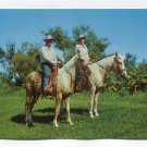 Palomino horses are popular among lovers down Texas way Postcard