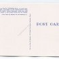 Purebred Santa Gertrudis Bulls first bred at King Ranch in South Texas Postcard
