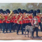 Irish Guards with their Mascot Marching through the Park Postcard