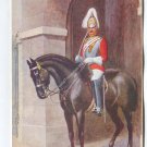 Mounted Sentry (1st Life Guards) Whitehall Postcard