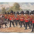 Irish Guards with their regimental pet Brian Boru marchingthro the Park Postcard