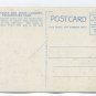 Great Falls and Point Lookout Yellowstone Park Postcard