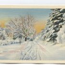 Snow covered trees and path in winter scene Postcard