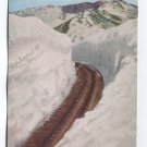 Spring Scene on Pike's Peak Cog Road Colorado Postcard