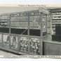 Eckerd's Modern Prescription Counter 1530 Main Street Columbia South Carolina Postcard