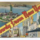 Howdy from New York Postcard