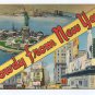 Howdy from New York Postcard