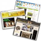 Premium Custom Ning Site Design Service - Ning Doctor