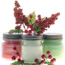 Holiday Prim Trio