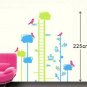 Birds Growth Chart Wall Stickers WS-003